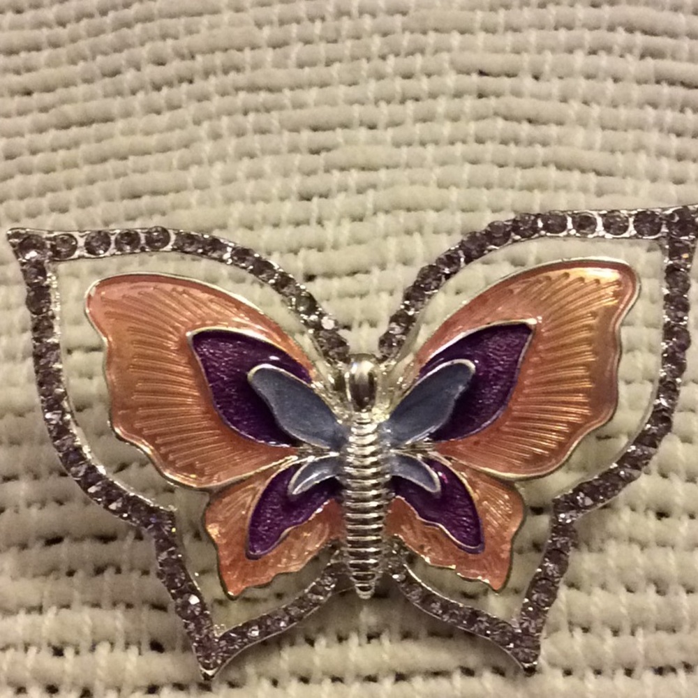 Napier Butterfly Brooch